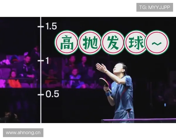 揭秘发球五秒违例规则，教你如何快速完成有效发球