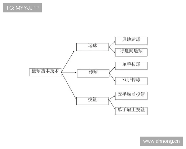 篮球规则深度解析：走步和两次运球区别在哪里